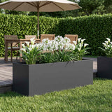Vidaxl plantenbak antraciet 100 x 30 x 30 cm koudgewalst staal