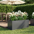Vidaxl plantenbak antraciet 100 x 40 x 40 cm koudgewalst staal