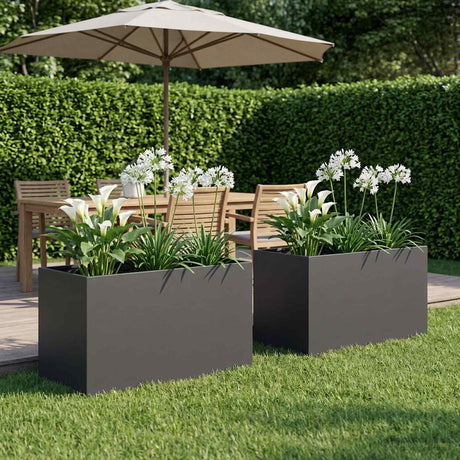 Vidaxl plantenbak 2 st zwart 80 x 50 x 50 cm koudgewalst staal