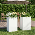 Vidaxl plantenbak 2 st wit 30 x 30 x 40 cm koudgewalst staal