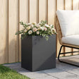 Vidaxl plantenbak zwart 40 x 30 x 40 cm koudgewalst staal