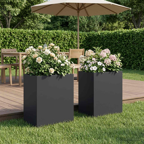 Vidaxl plantenbak 2 st zwart 40 x 30 x 40 cm koudgewalst staal