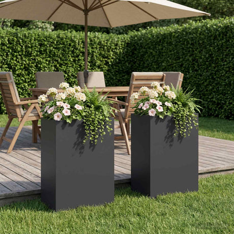 Vidaxl plantenbak 2 st zwart 50 x 30 x 75 cm koudgewalst staal