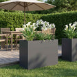 Vidaxl plantenbak antraciet 60 x 30 x 50 cm koudgewalst staal