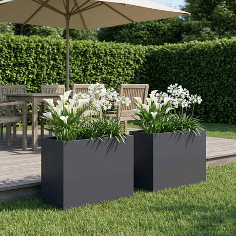Vidaxl plantenbak 2 st antraciet 60 x 30 x 50 cm koudgewalst staal