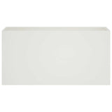 Vidaxl plantenbak wit 100 x 30 x 40 cm koudgewalst staal