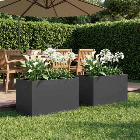 Vidaxl plantenbak 2 st zwart 50 x 40 x 40 cm koudgewalst staal