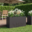 Vidaxl plantenbak zwart 100 x 20 x 49 cm koudgewalst staal