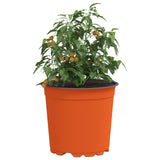 Vidaxl ronde bloempot 100 st terracotta ø 15 x 13 cm kunststof