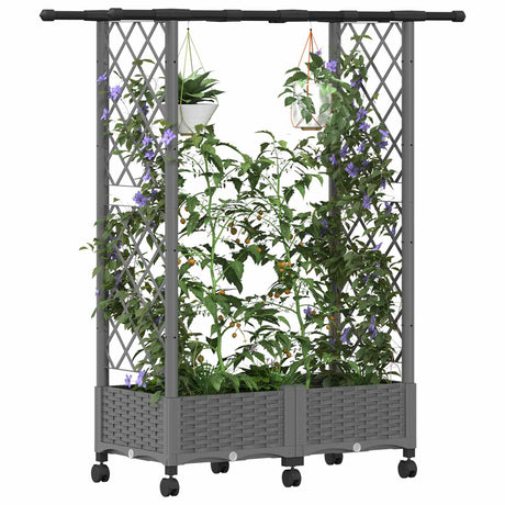 Vidaxl verhoogd bed met trellis en dak lichtgrijs 122,5 x 40 x 127 cm
