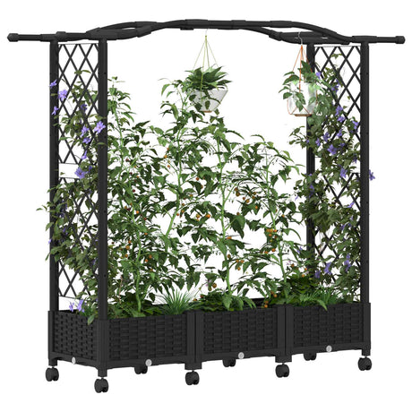 Vidaxl verhoogd bed met trellis en dak zwart 169 x 40 x 129 cm pp