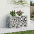 Vidaxl gabion verhoogd bed 50 x 100 x 60 cm gegalvaniseerd staal