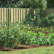 Vidaxl draadgaashek 2 x 10 m staal groen