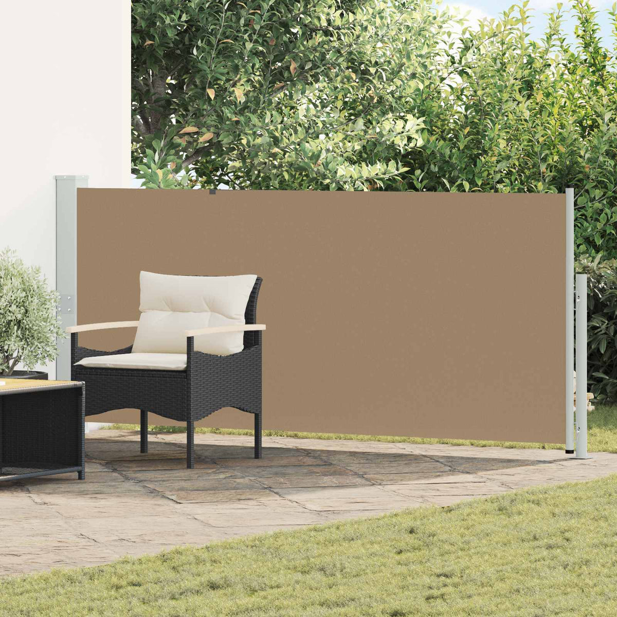 Vidaxl uittrekbaar zijscherm rechthoekig 160 x 300 cm