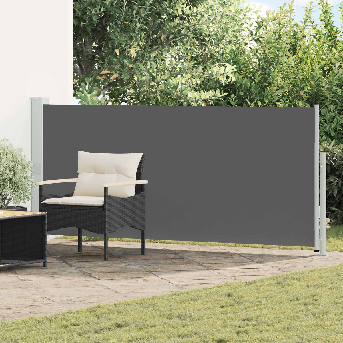 Vidaxl uittrekbaar zijscherm rechthoekig 170 x 300 cm polyester