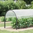 Vidaxl plantenhoes transparant 2 x 12 m pe