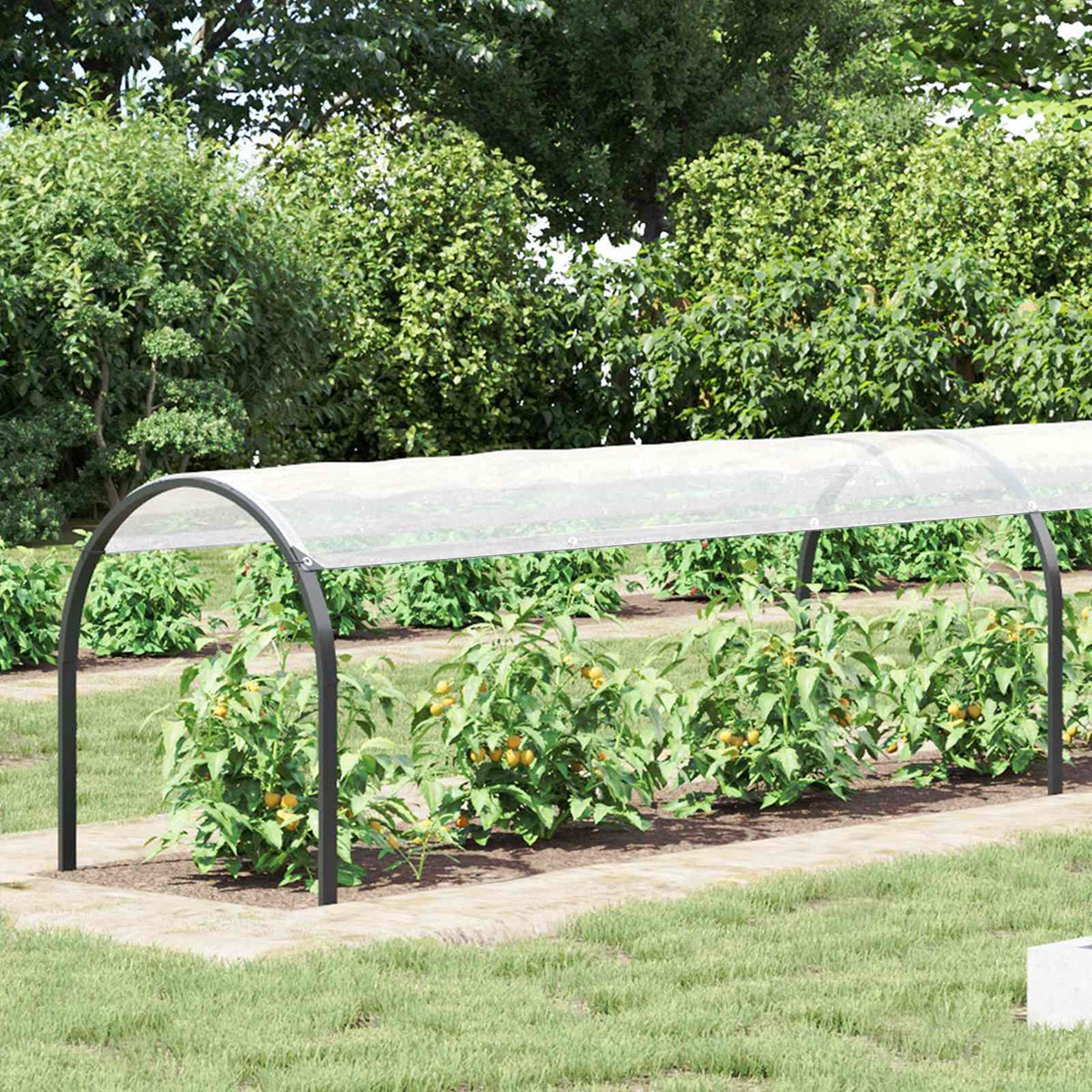 Vidaxl plantenhoes transparant 20 x 1,5 m pe