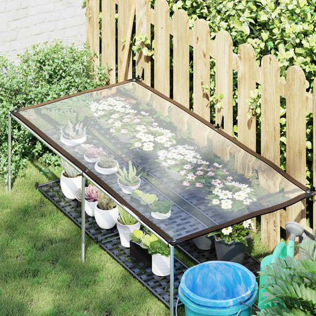 Vidaxl plantenhoes 1 x 2 m pe doorschijnend
