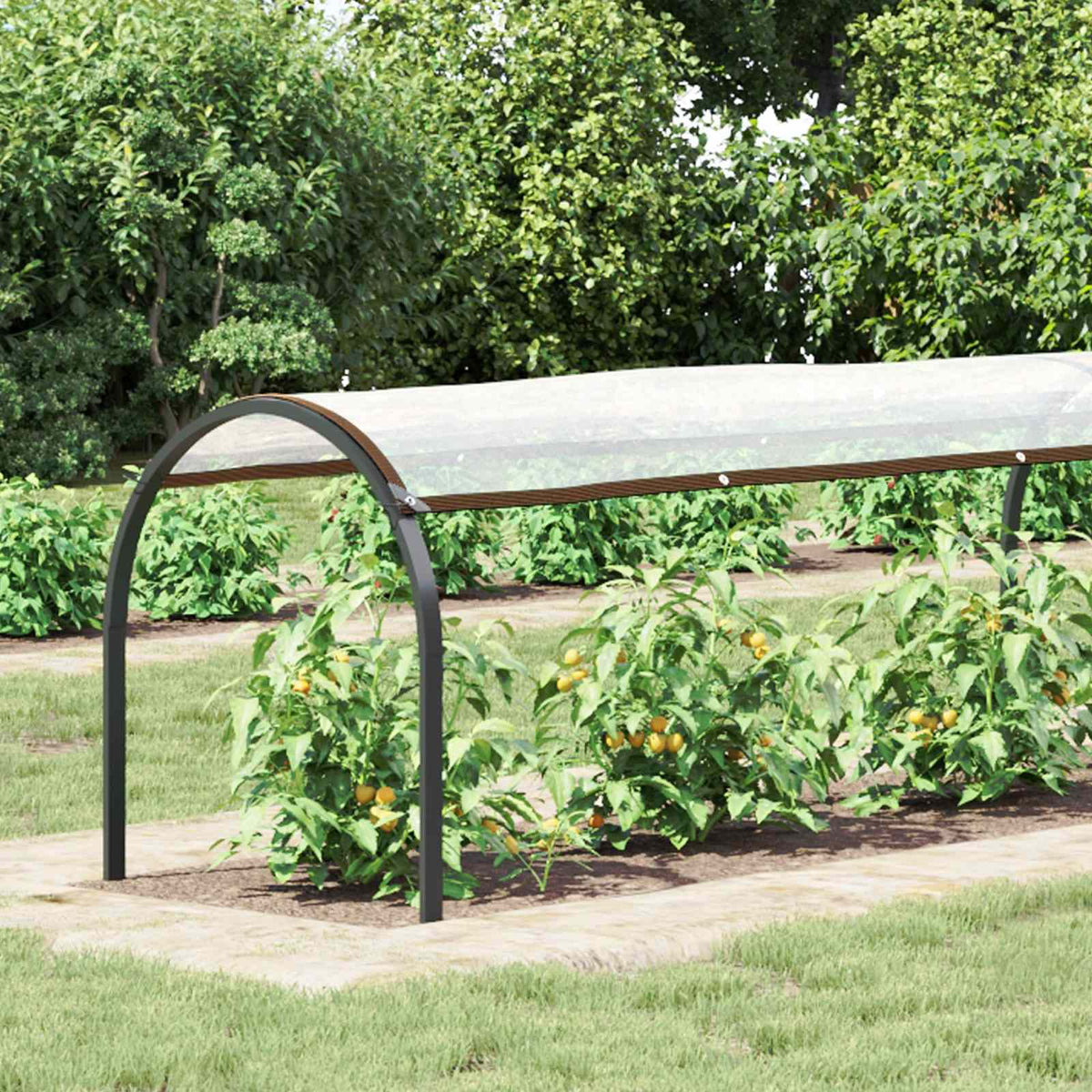 Vidaxl plantenhoes doorzichtig 20 x 1,5 m pe