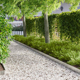 Vidaxl gazonrand 20 st 103 x 15 cm staal zilver