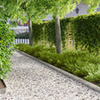 Vidaxl gazonrand 50 st 103 x 15 cm staal zilver
