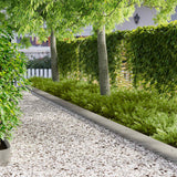 Vidaxl gazonrand 20 st 103 x 20 cm staal zilver
