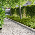 Vidaxl gazonrand 20 st 103 x 20 cm staal zilver