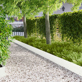Vidaxl gazonrand 20 st 103 x 25 cm staal wit