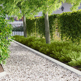 Vidaxl gazonrand 20 st 103 x 10 cm staal wit
