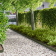 Vidaxl gazonrand 20 st 103 x 10 cm staal olijfgroen