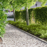 Vidaxl gazonrand 30 st 103 x 10 cm staal zilver