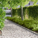 Vidaxl gazonrand 10 st 103 x 10 cm staal zilver