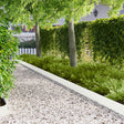 Vidaxl gazonrand 30 st 103 x 15 cm staal wit