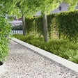 Vidaxl gazonrand 20 st 103 x 20 cm staal wit