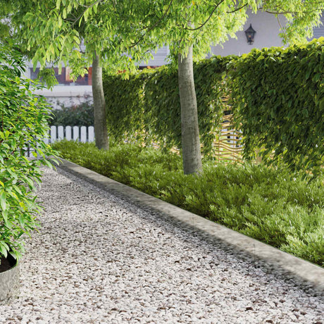 Vidaxl gazonrand 10 st 103 x 20 cm staal zilver