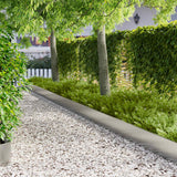 Vidaxl gazonrand 10 st 103 x 25 cm staal zilver
