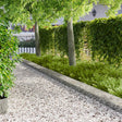 Vidaxl gazonrand 10 st 103 x 25 cm staal zilver