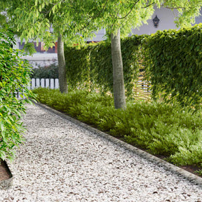 Vidaxl gazonrand 30 st 100 x 12 cm staal zilverkleurig