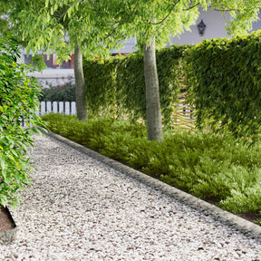 Vidaxl gazonrand 50 st 100 x 15 cm staal zilverkleurig
