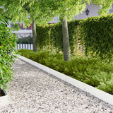 Vidaxl gazonrand 50 st 100 x 20 cm staal wit