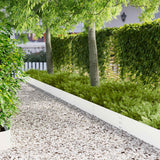Vidaxl gazonrand 20 st 100 x 25 cm staal wit