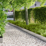 Vidaxl gazonrand 10 st 100 x 25 cm staal zilverkleurig
