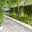 Vidaxl gazonrand 30 st 103 x 25 cm staal wit
