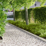 Vidaxl gazonrand 20 st 102 x 10 x 4 cm staal zilverkleurig
