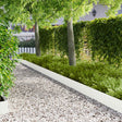 Vidaxl gazonrand 10 st 102 x 15 x 4 cm staal wit