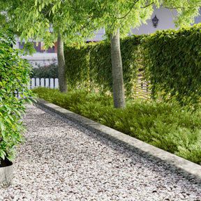 Vidaxl gazonrand 30 st 102 x 15 x 4 cm staal zilverkleurig