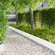 Vidaxl gazonrand 20 st 100 x 18 cm staal wit