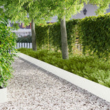 Vidaxl gazonrand 20 st 100 x 18 cm staal wit
