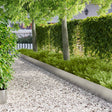 Vidaxl gazonrand 10 st 100 x 18 cm staal zilver