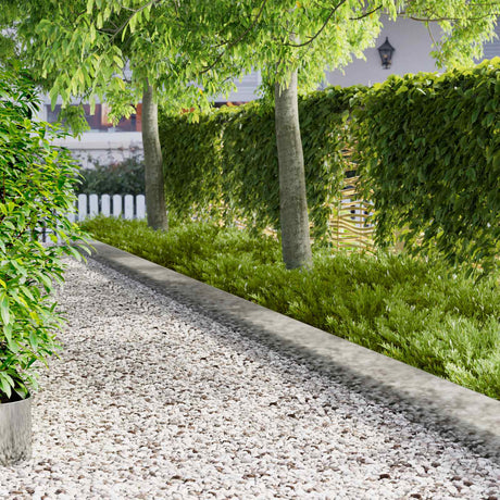 Vidaxl gazonrand 10 st 100 x 18 cm staal zilver